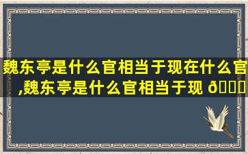 魏东亭是什么官相当于现在什么官,魏东亭是什么官相当于现 💐 在 🌸 什么官位